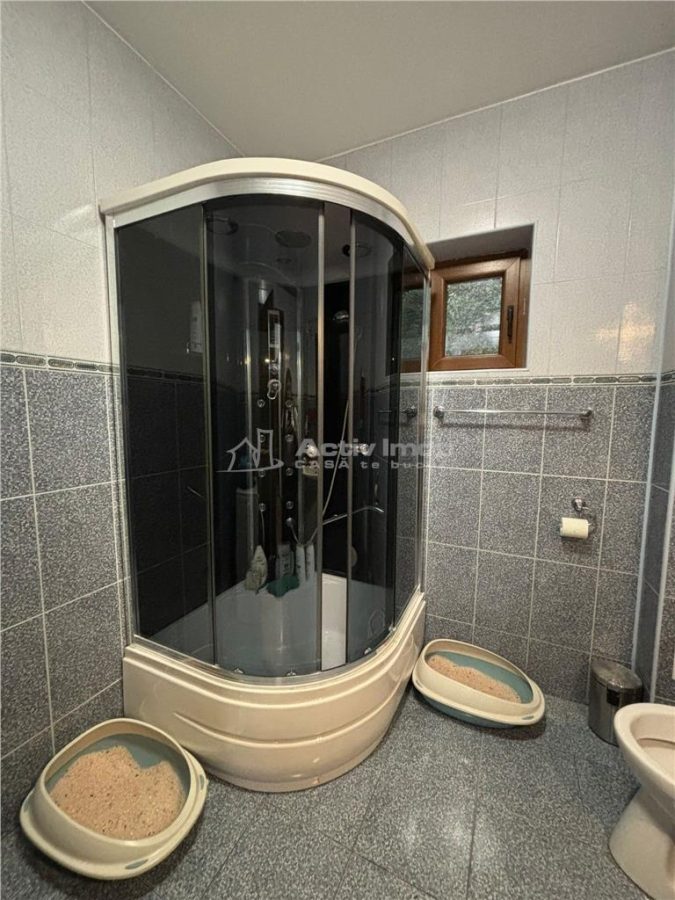 Vila Premium, Robusta, Versatila, Colentina (Parc Plumbuita) - foto 25