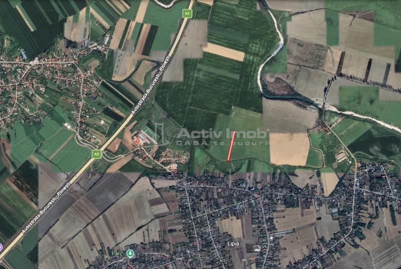 Teren Gruiu (Lipia), 4700 mp - 