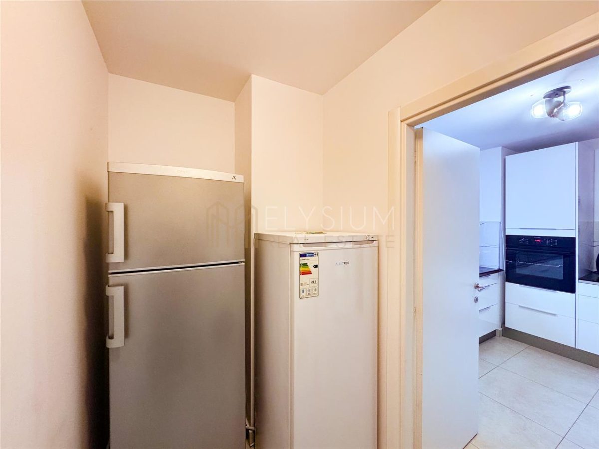 Apartament de inchiriat 4 camere Herastrau - foto 14