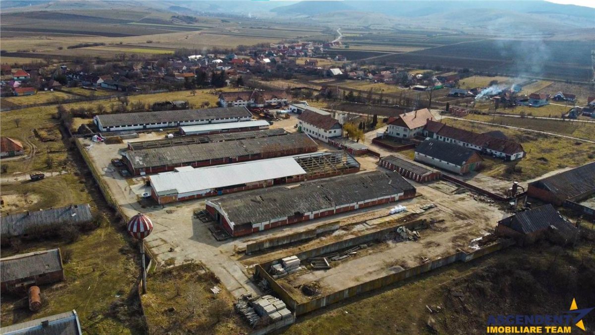 FILM! +25.400mp teren+Complex agrozootehnic cu traditie, accesorizat+ potential A,Borosneu - foto 16