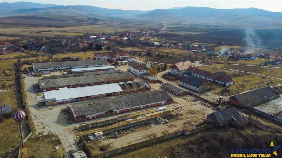 FILM! +25.400mp teren+Complex agrozootehnic cu traditie, accesorizat+ potential A,Borosneu - foto 22