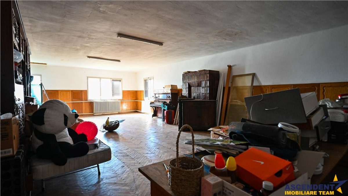 FILM! +25.400mp teren+Complex agrozootehnic cu traditie, accesorizat+ potential A,Borosneu - foto 25