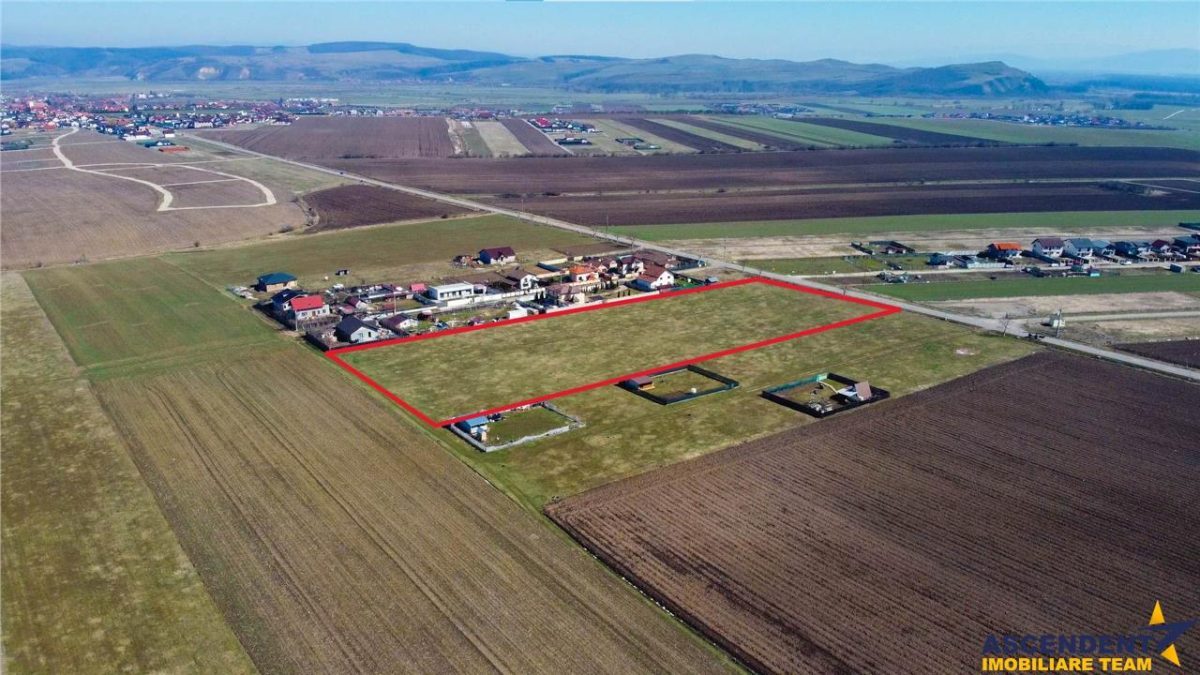 Teren intravilan 18.200mp, cu PUZ si PUD, ideal constructi case, Bod, Brasov. - 