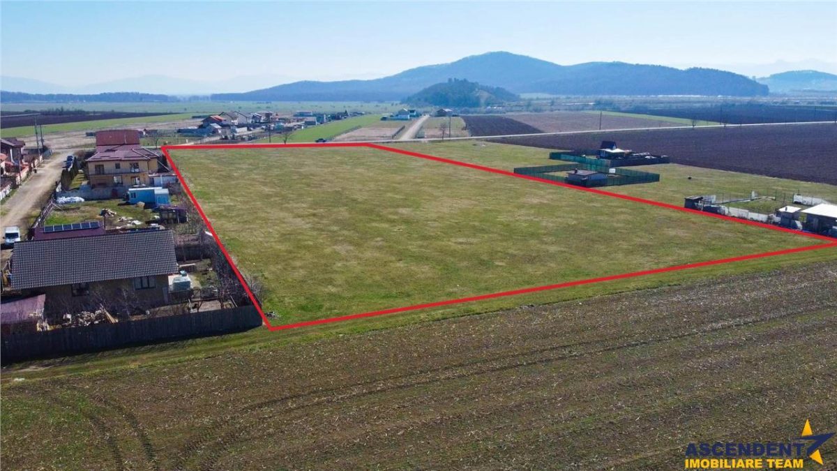 Teren intravilan 18.200mp, cu PUZ si PUD, ideal constructi case, Bod, Brasov. - foto 11