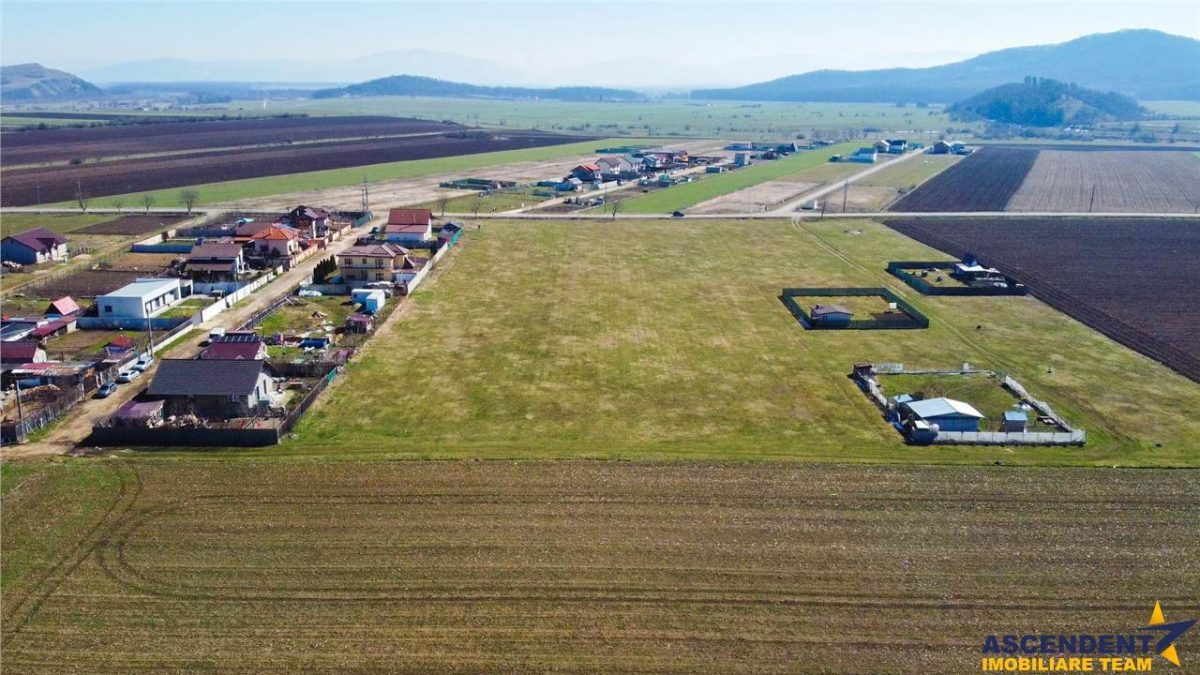 Teren intravilan 18.200mp, cu PUZ si PUD, ideal constructi case, Bod, Brasov. - foto 12