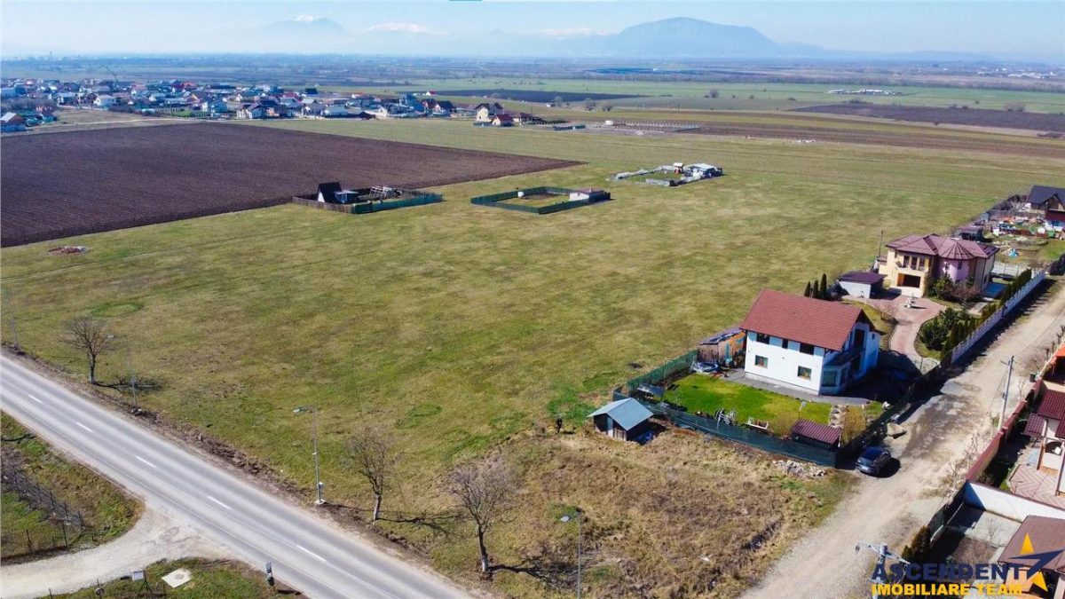 Teren intravilan 18.200mp, cu PUZ si PUD, ideal constructi case, Bod, Brasov. - foto 18