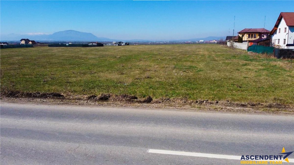 Teren intravilan 18.200mp, cu PUZ si PUD, ideal constructi case, Bod, Brasov. - foto 19