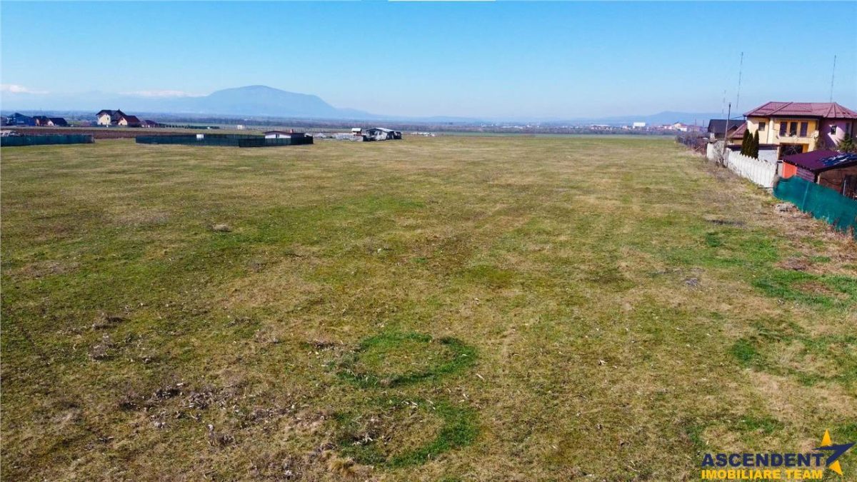 Teren intravilan 18.200mp, cu PUZ si PUD, ideal constructi case, Bod, Brasov. - foto 20