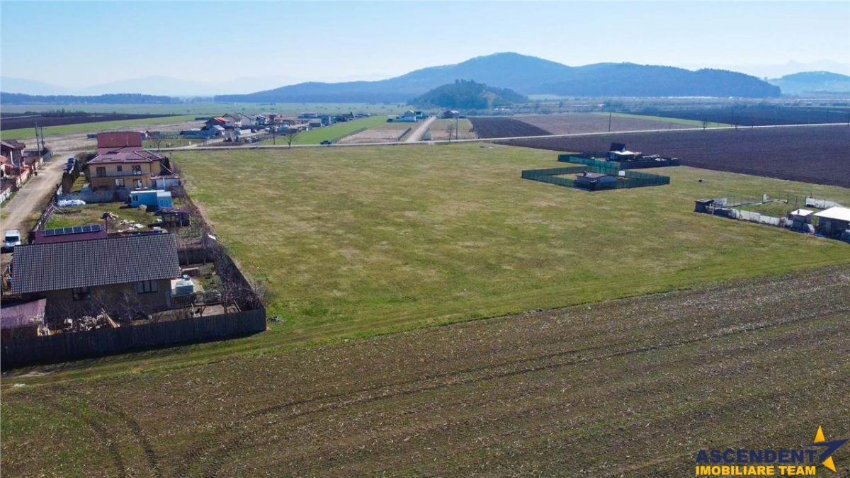 Teren intravilan 18.200mp, cu PUZ si PUD, ideal constructi case, Bod, Brasov. - foto 21