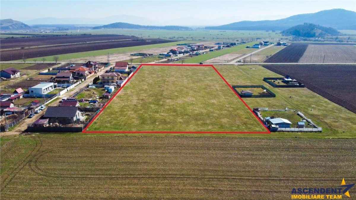 Teren intravilan 18.200mp, cu PUZ si PUD, ideal constructi case, Bod, Brasov. - foto 6