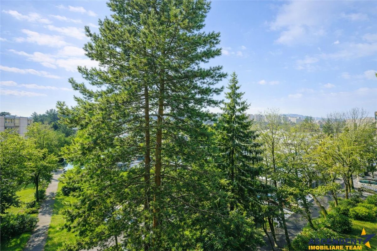 Apartament cu potential,areal verde, panorama,terasa,zona A,Tudor,Targu Mures - foto 13
