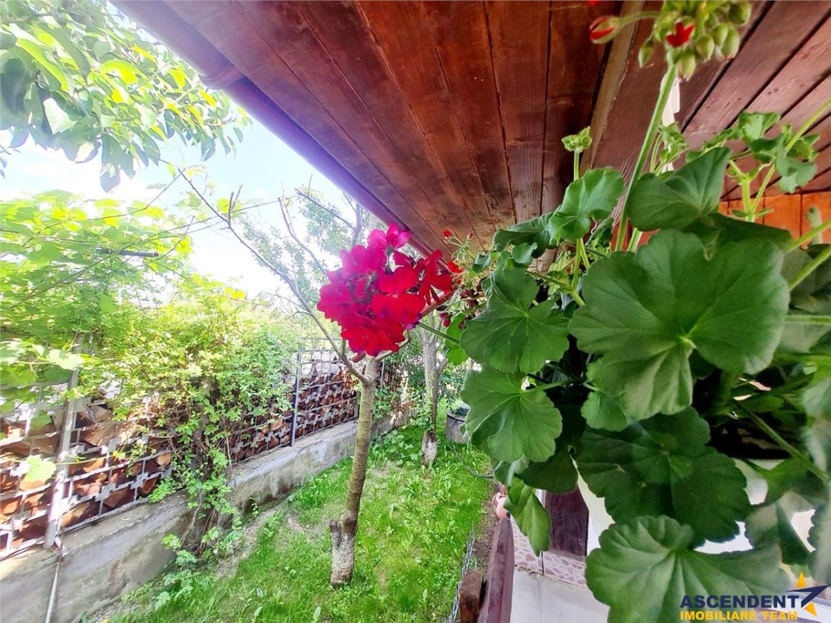 Vila luminoasa, gradina, priveliste panoramica spre munti, Harman, Brasov - foto 10