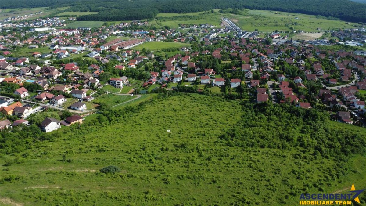 Lot premium,17.200 mp,PUG, oportunitate extinsa,10 min de Targu Mures:Livezeni - foto 12
