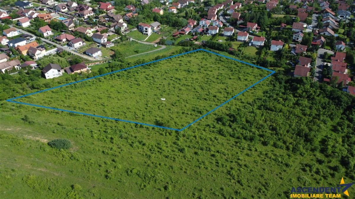 Lot premium,17.200 mp,PUG, oportunitate extinsa,10 min de Targu Mures:Livezeni - foto 14