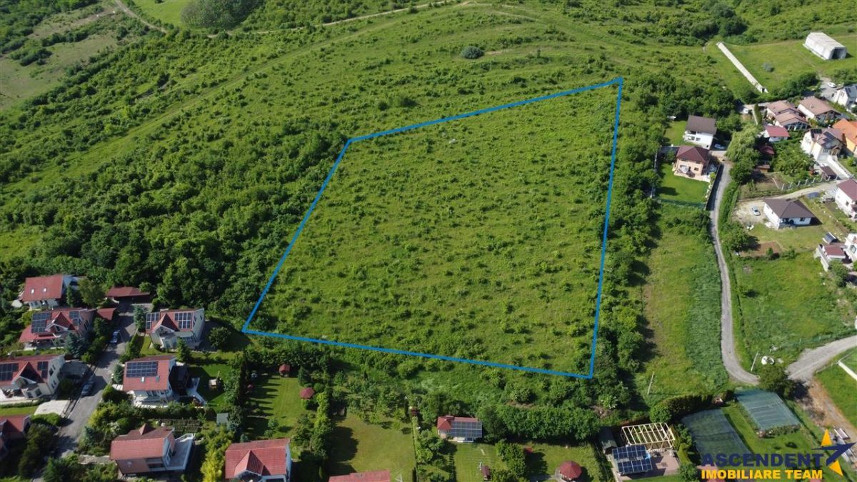 Lot premium,17.200 mp,PUG, oportunitate extinsa,10 min de Targu Mures:Livezeni - foto 3