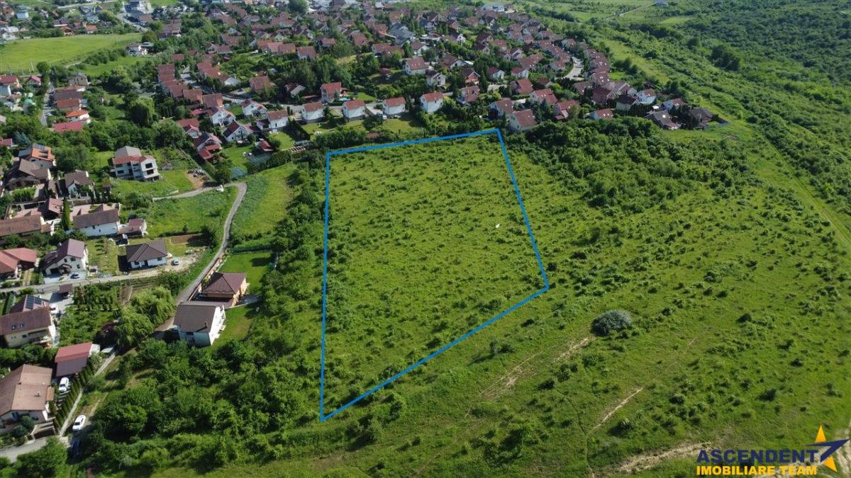 Lot premium,17.200 mp,PUG, oportunitate extinsa,10 min de Targu Mures:Livezeni - foto 4