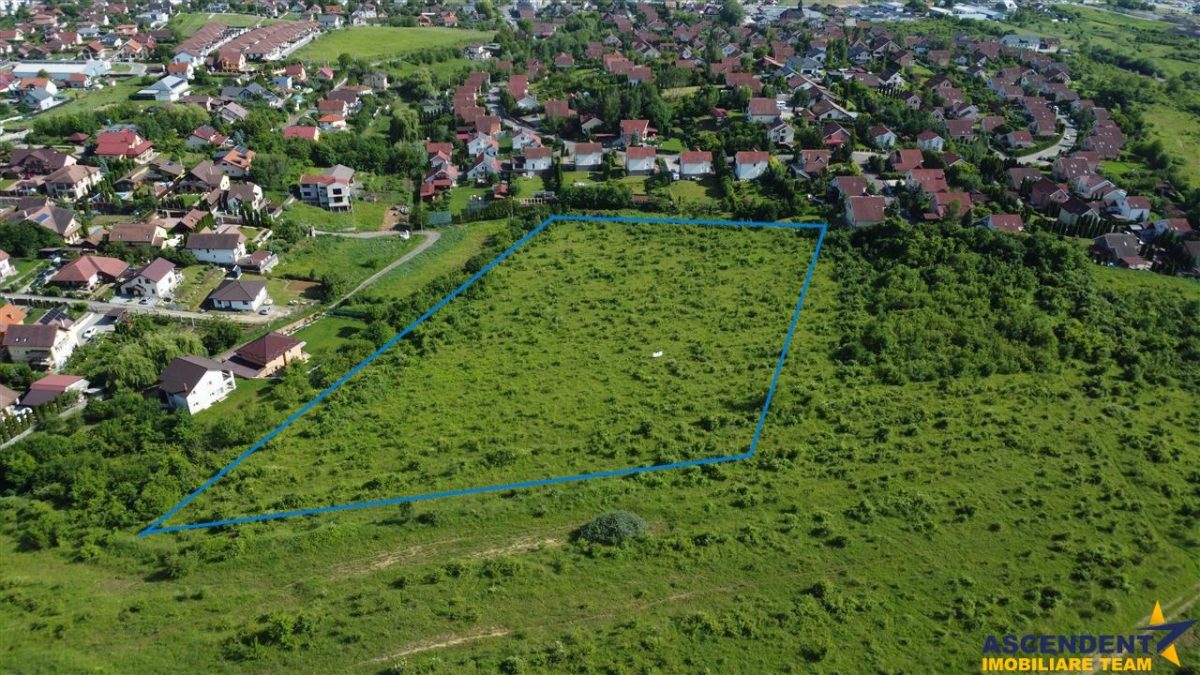 Lot premium,17.200 mp,PUG, oportunitate extinsa,10 min de Targu Mures:Livezeni - foto 6
