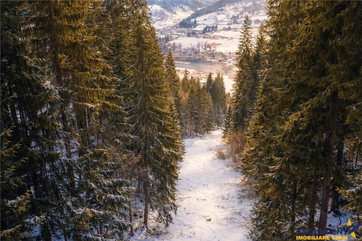 FILM!Teren 7.800mp,fosta partie de schi,investitie turistica/agrement,Lunca Bradului,Mures - foto 2