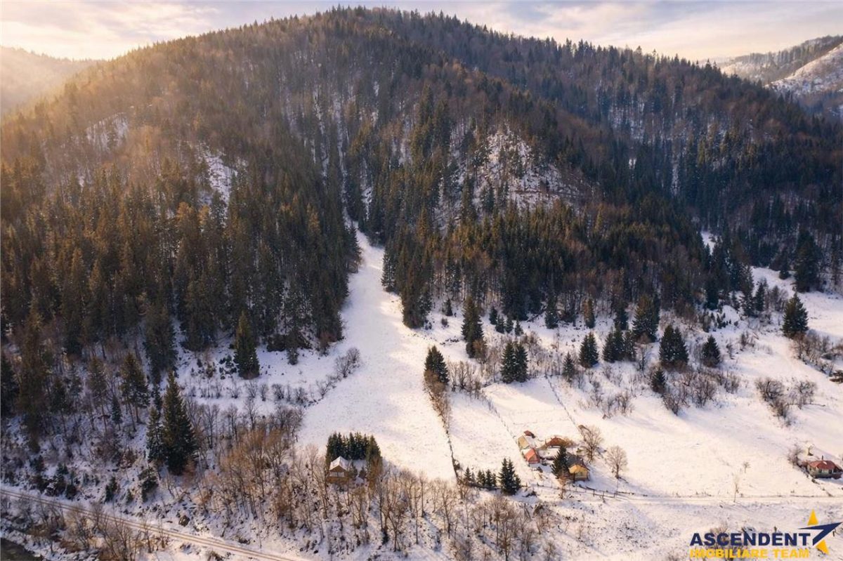 FILM!Teren 7.800mp,fosta partie de schi,investitie turistica/agrement,Lunca Bradului,Mures - foto 4