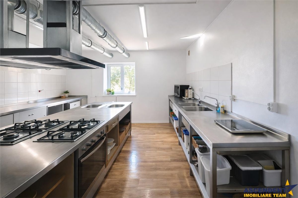 Transilvania Camping, domeniu de 14.400mp,Sanmarghita de Mures:2cladiri, apartamente,potential exceptional - foto 5