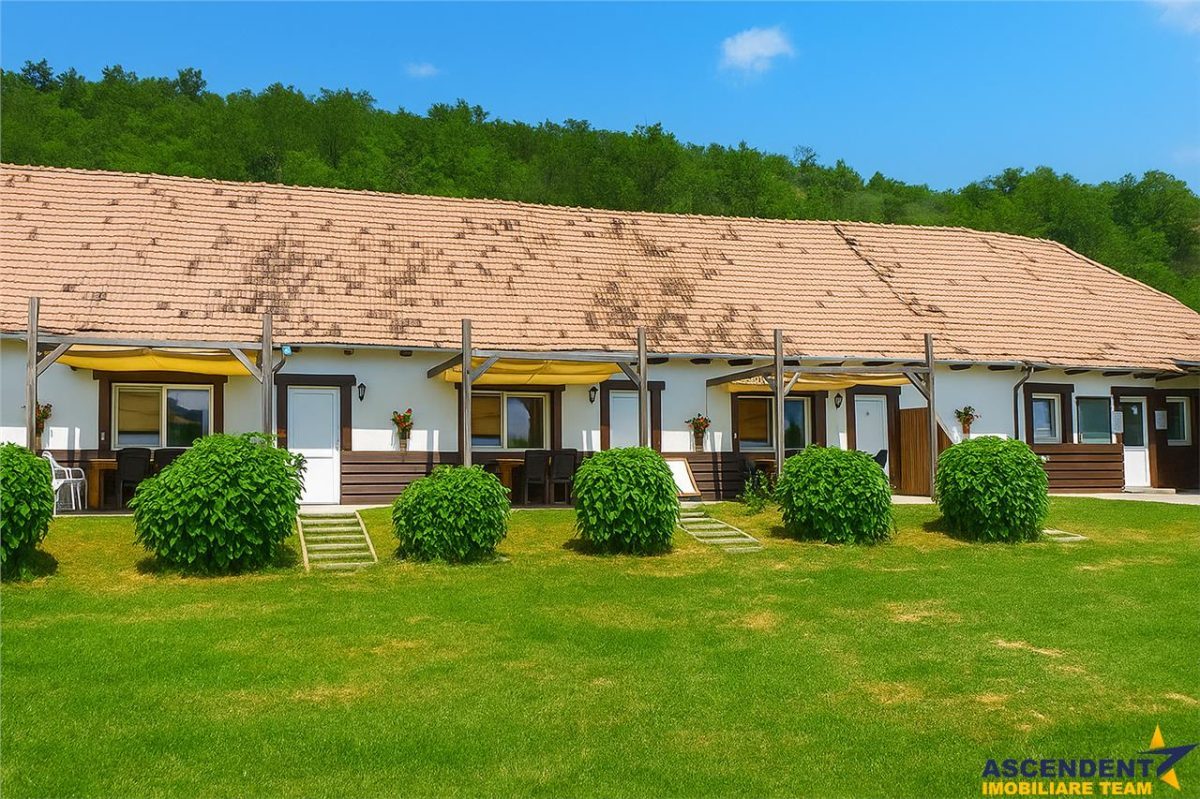 Transilvania Camping, domeniu de 14.400mp,Sanmarghita de Mures:2cladiri, apartamente,potential exceptional - foto 4