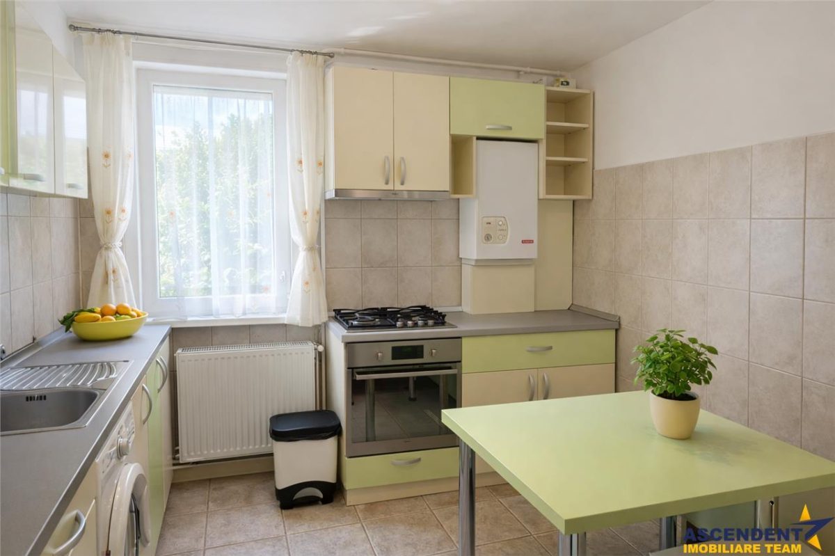 Apartament 2 camere, etaj1, Garii, Basov - foto 2