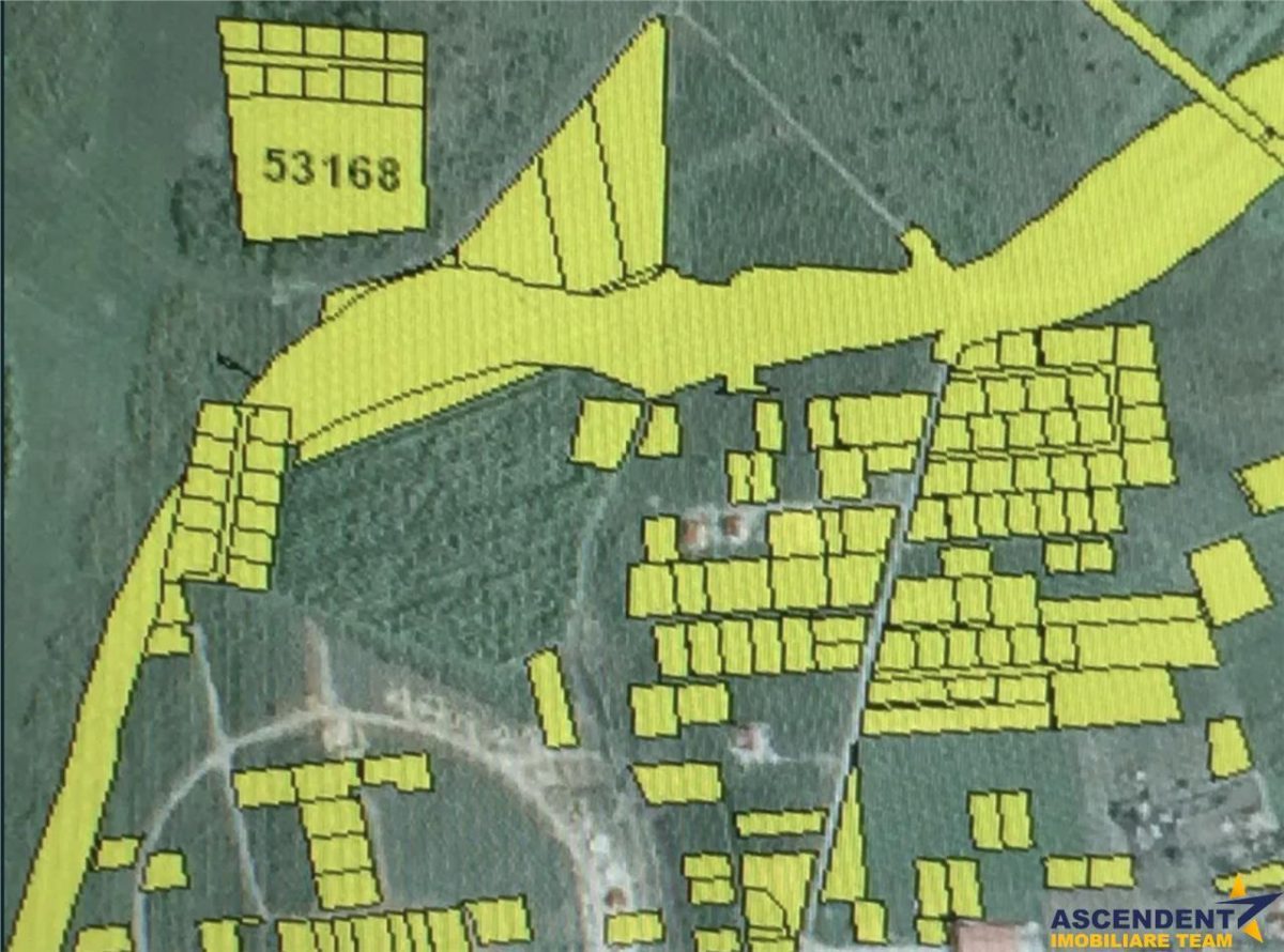 FILM! Teren pretios: 17.200 mp, recomandat investitional/dezvoltare,Livezeni,Mures. - foto 12