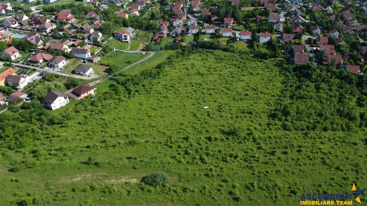 FILM! Teren pretios: 17.200 mp, recomandat investitional/dezvoltare,Livezeni,Mures. - foto 13