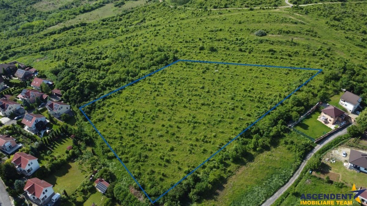 FILM! Teren pretios: 17.200 mp, recomandat investitional/dezvoltare,Livezeni,Mures. - foto 14