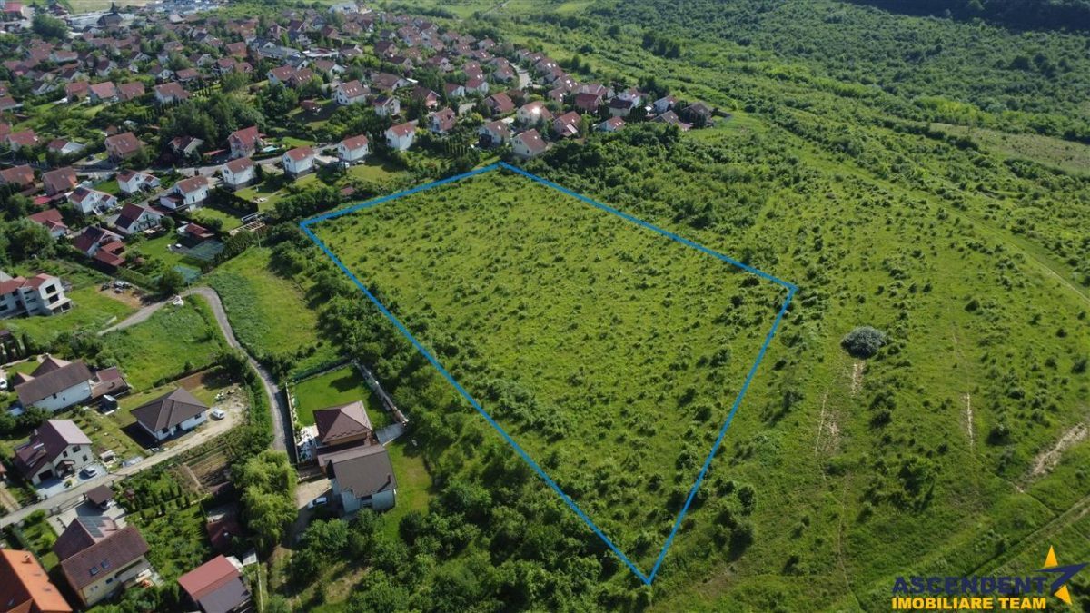 FILM! Teren pretios: 17.200 mp, recomandat investitional/dezvoltare,Livezeni,Mures. - foto 5