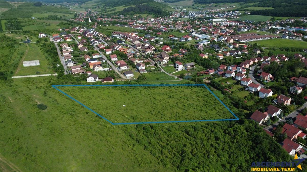 FILM! Teren pretios: 17.200 mp, recomandat investitional/dezvoltare,Livezeni,Mures. - foto 7