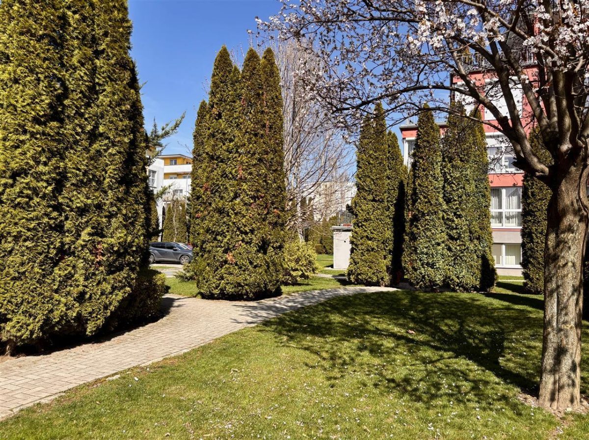 De vanzare | 3 camere decomandat, parcare si boxa | Bartolomeu - foto 2