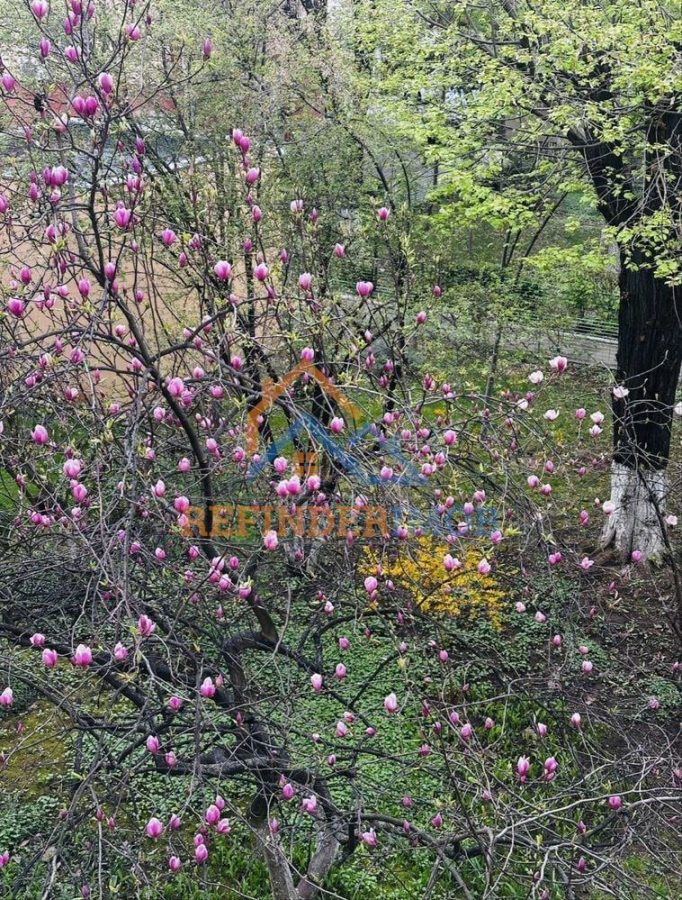 Brancoveanuâ€“ 3 camere decomandat Etaj 2  Bloc reabilitat - foto 6