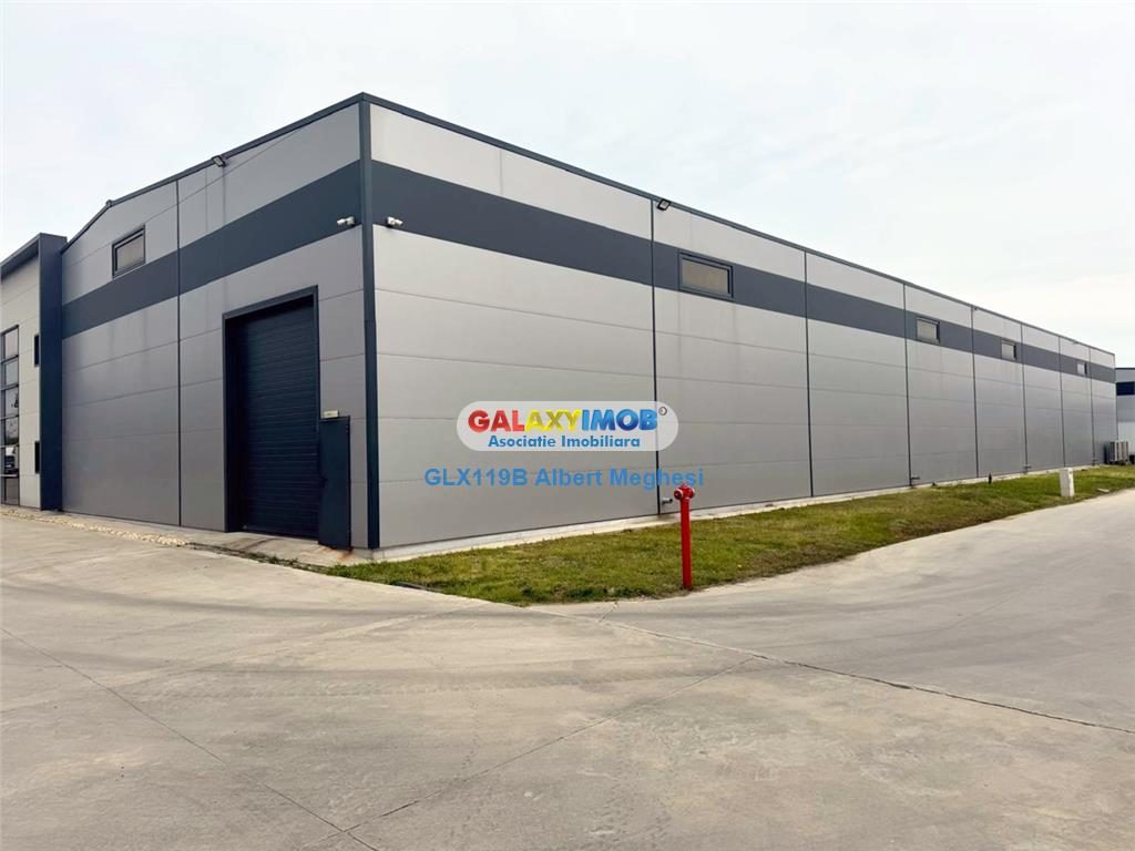 Inchiriere Spatiu Depozitare/Hala Centura-Mogosoaia - foto 2