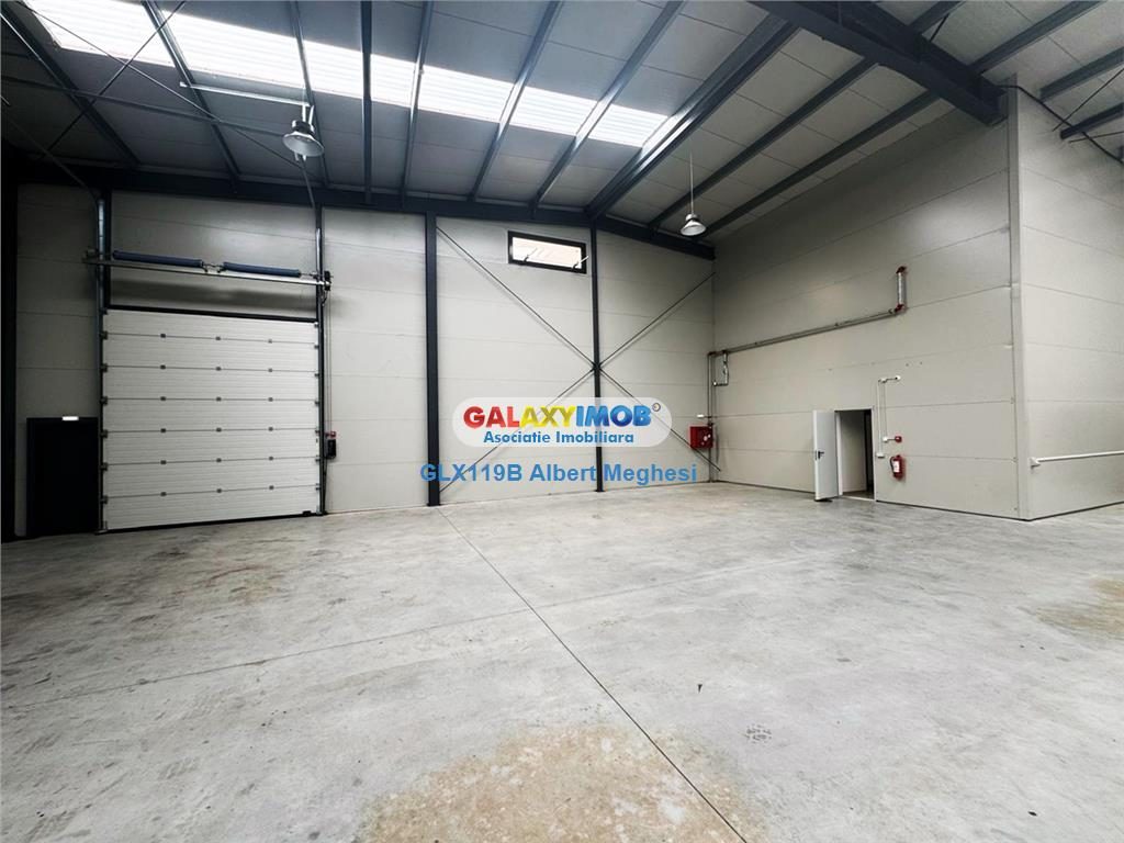 Inchiriere Spatiu Depozitare/Hala Centura-Mogosoaia - foto 3