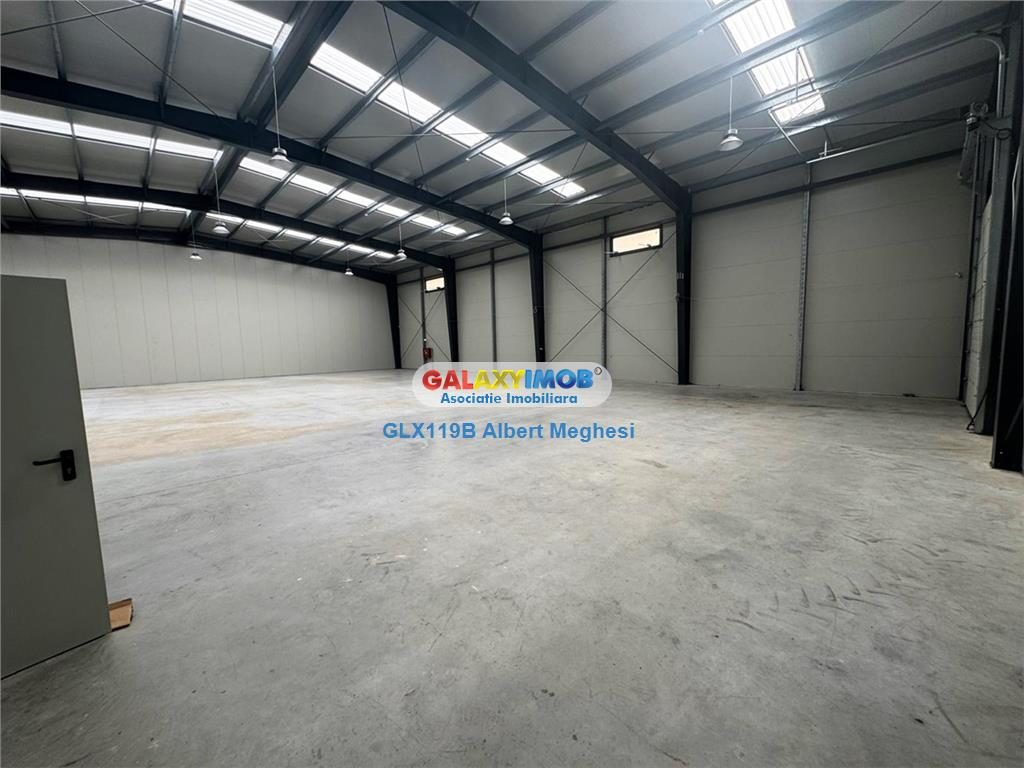 Inchiriere Spatiu Depozitare/Hala Centura-Mogosoaia - foto 4