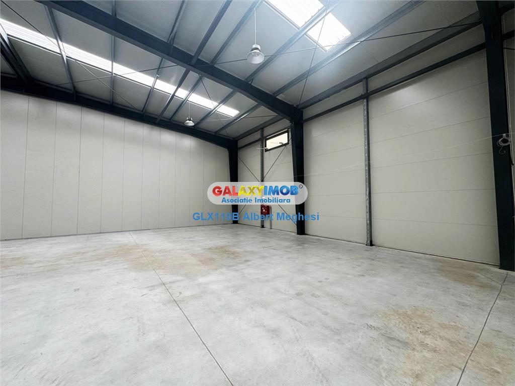 Inchiriere Spatiu Depozitare/Hala Centura-Mogosoaia - foto 9