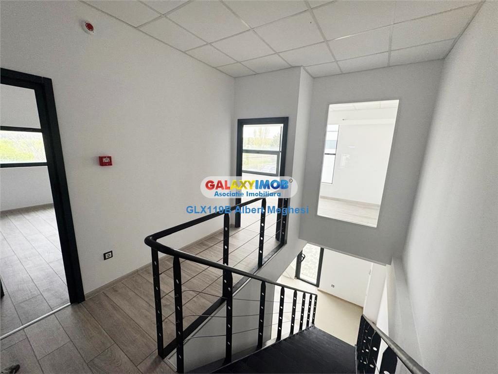 Inchiriere Spatiu Depozitare/Hala Centura-Mogosoaia - foto 10