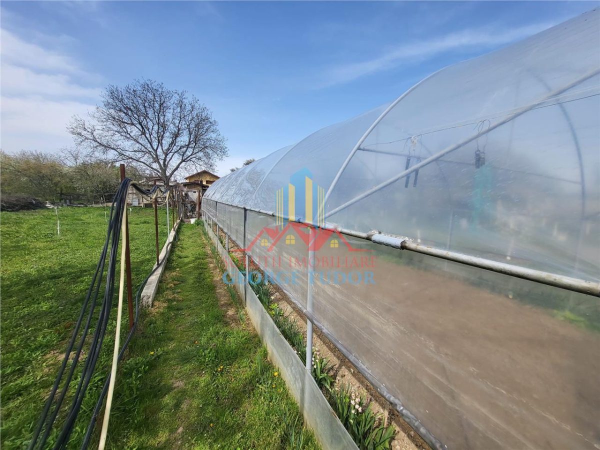 Vanzare casa Bolintin Vale Suseni 104 - foto 7