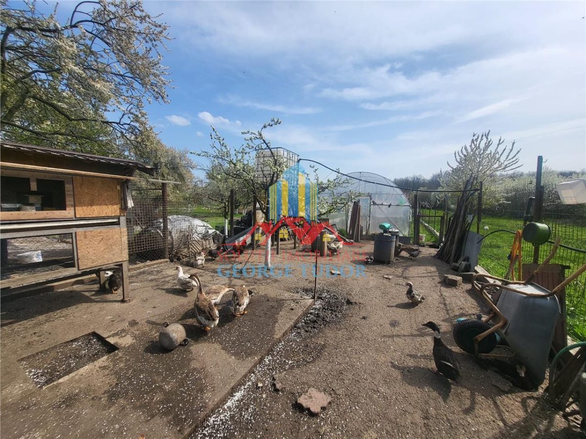 Vanzare casa Bolintin Vale Suseni 104 - foto 9