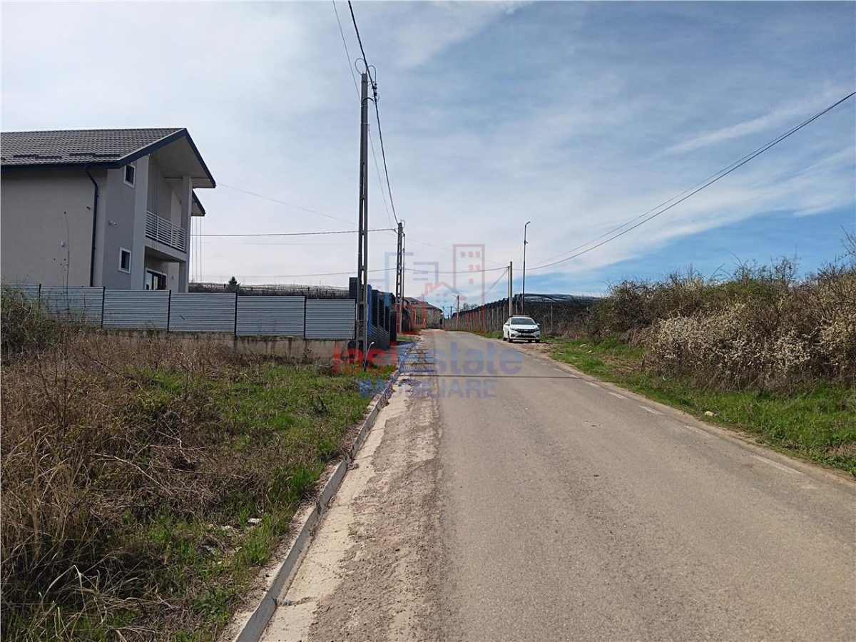 Visan str Castanul Unirii TEREN 729mp cu dubla deschidere toate utilitatile zonei - foto 3