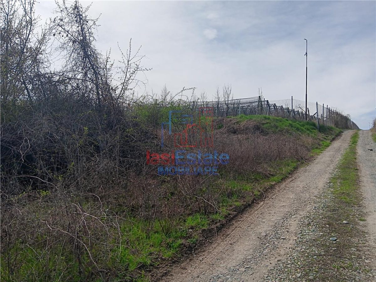 Visan str Castanul Unirii TEREN 729mp cu dubla deschidere toate utilitatile zonei - foto 6