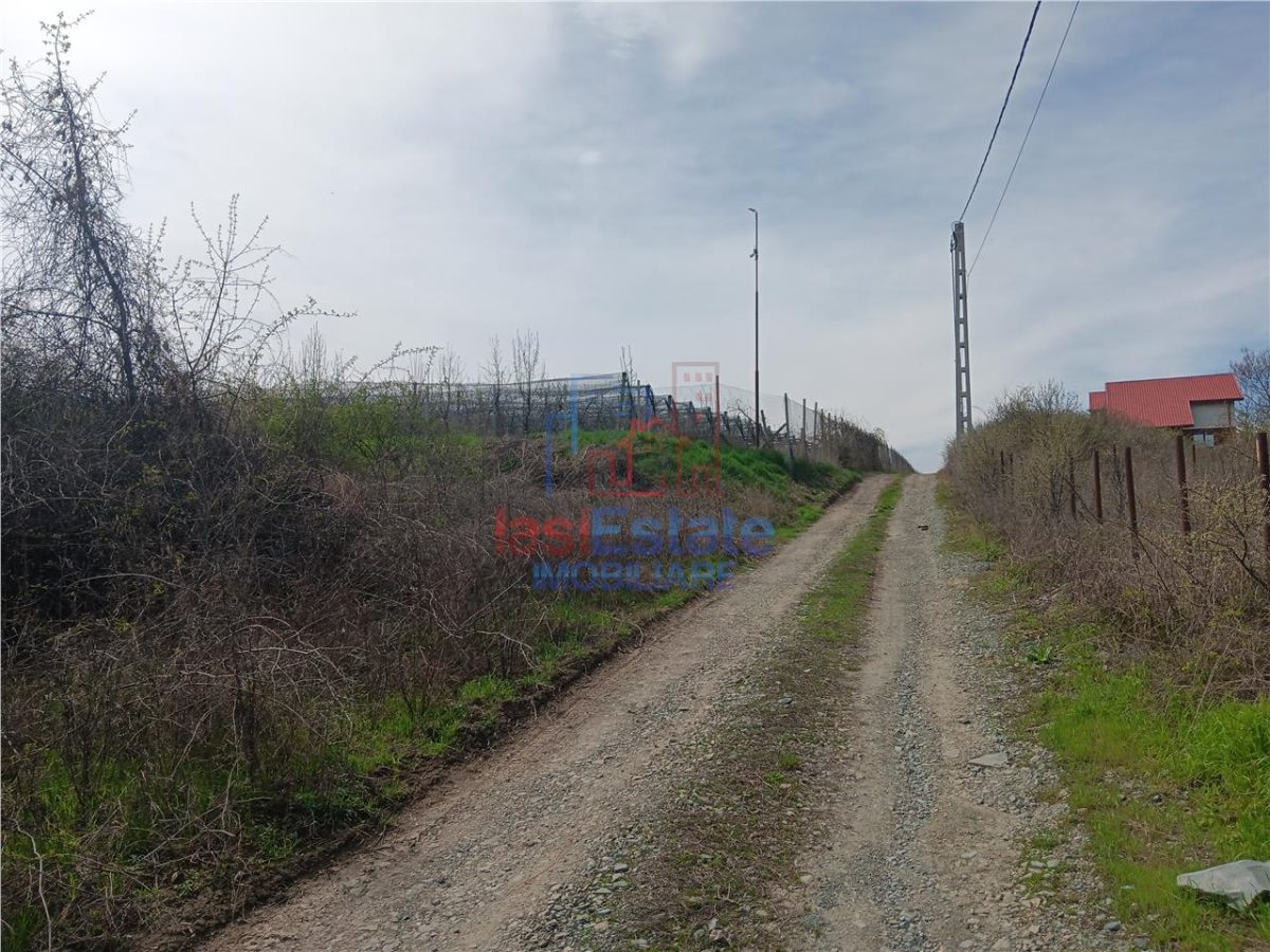 Visan str Castanul Unirii TEREN 729mp cu dubla deschidere toate utilitatile zonei - foto 8