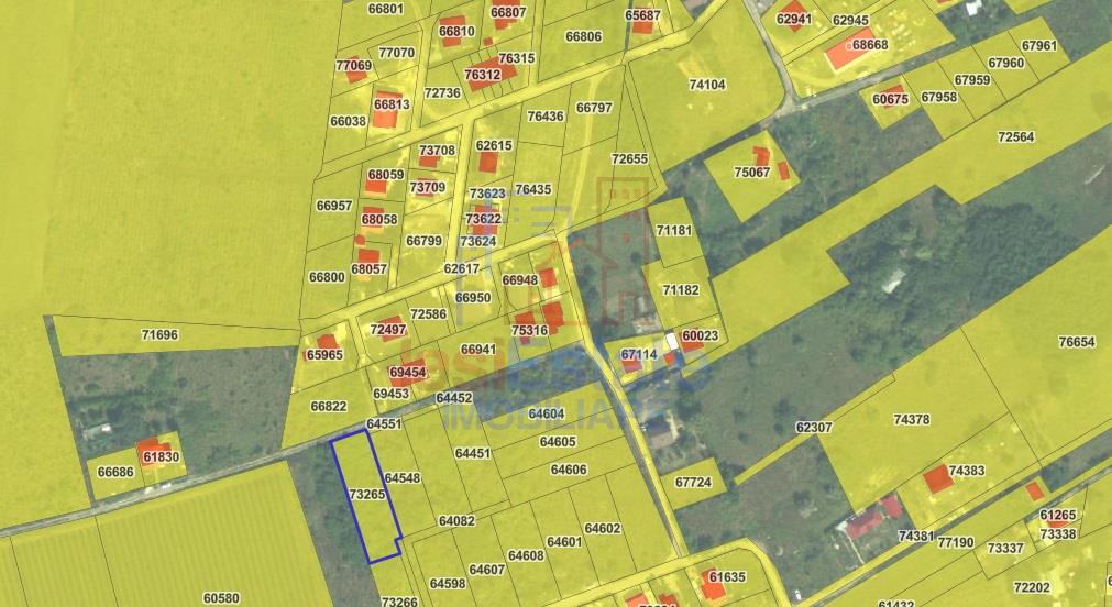 Visan str Castanul Unirii TEREN 729mp cu dubla deschidere toate utilitatile zonei - foto 9