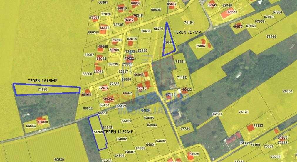 Visan str Castanul Unirii TEREN 729mp cu dubla deschidere toate utilitatile zonei - foto 10