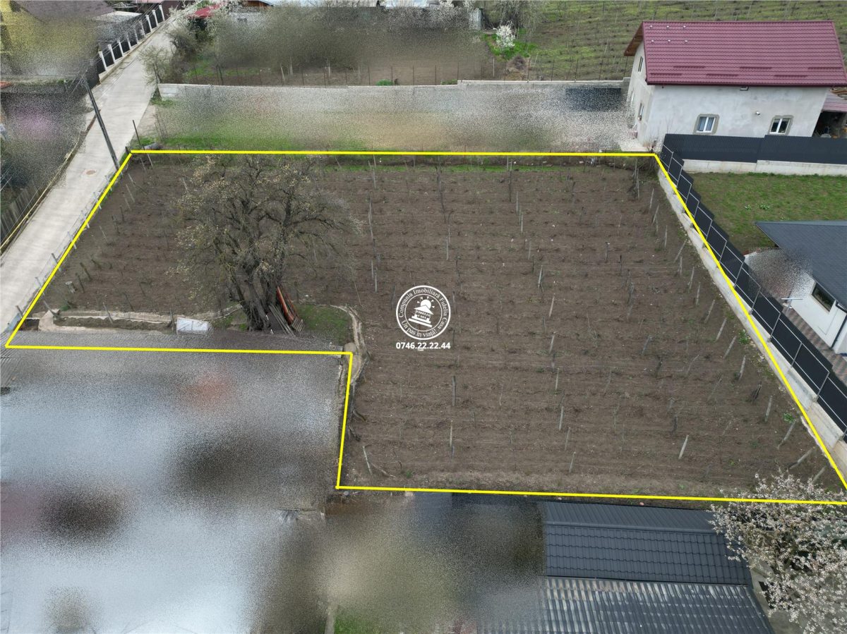 Teren intravilan 842 mp , asfalt , toate utilitatile - Valea Lupului , Iasi - foto 3