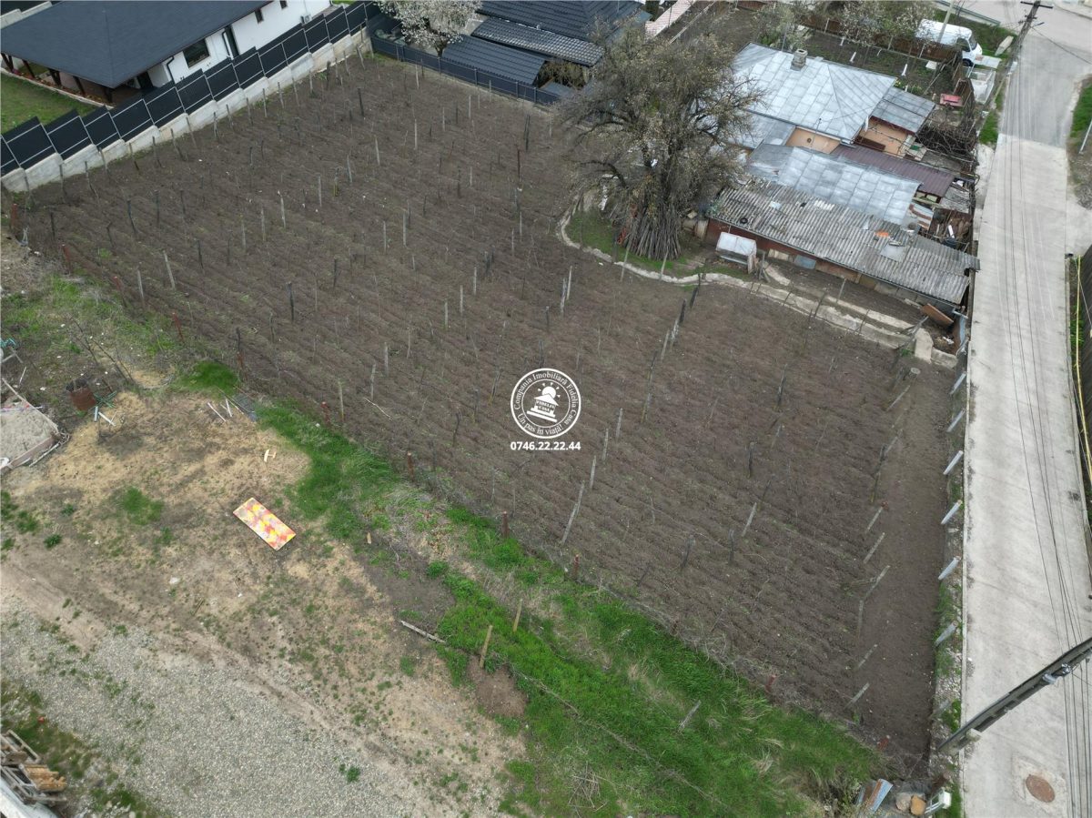 Teren intravilan 842 mp , asfalt , toate utilitatile - Valea Lupului , Iasi - foto 5