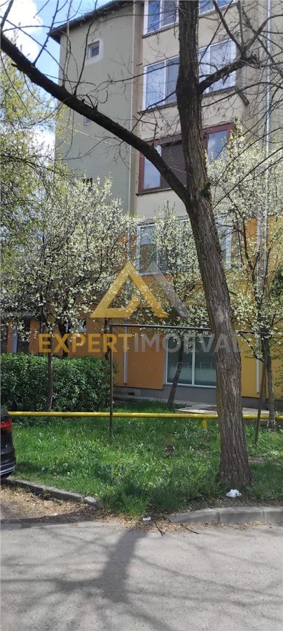 Etaj 1 Apartament cu 2 camere str Victor Babes 47 mp - foto 20