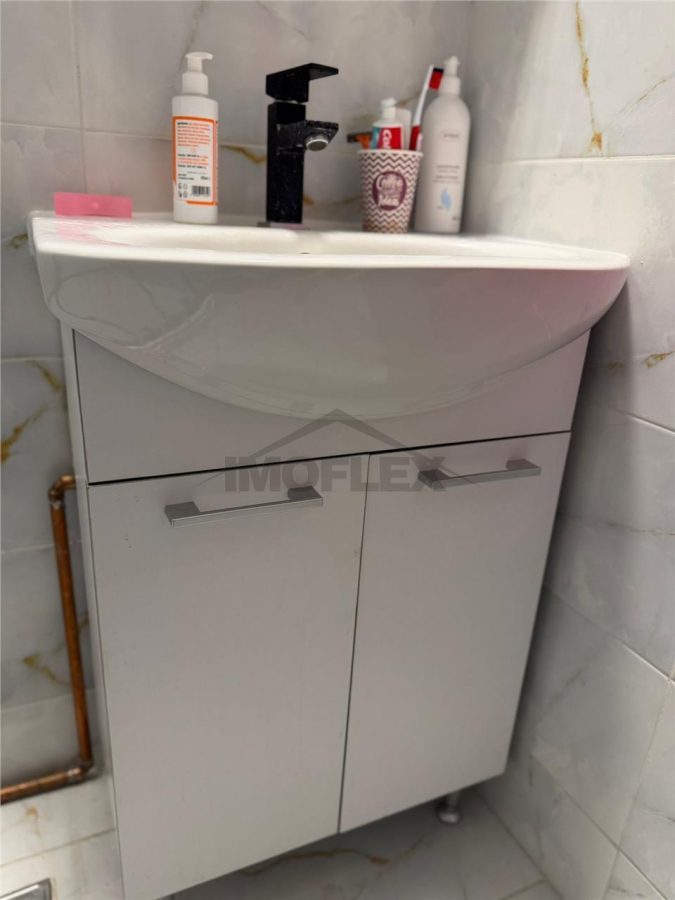 Comision 0! Studio modern Vedere panoramica la lac Lacul Plumbuita - foto 11