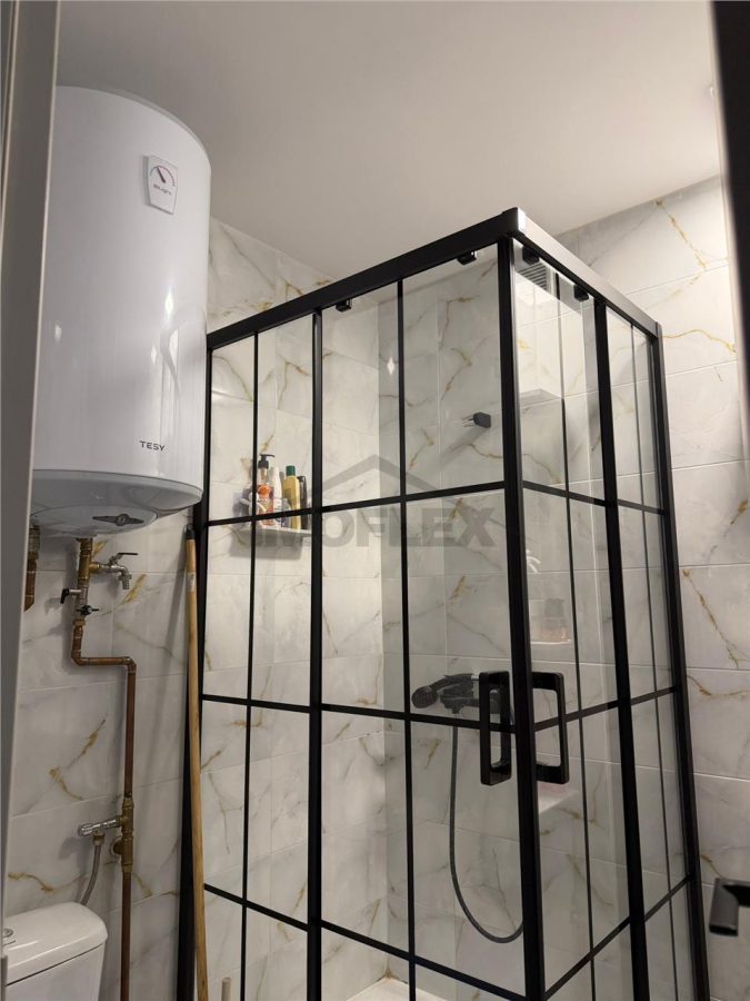 Comision 0! Studio modern Vedere panoramica la lac Lacul Plumbuita - foto 13